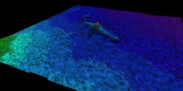 Myrtle Branch — INFOMAR sonar-derived seabed survey